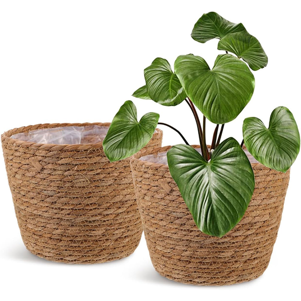 artificial bonsai trees Buy an artificial Bonsai tree from LeopoldFlora main image 0
