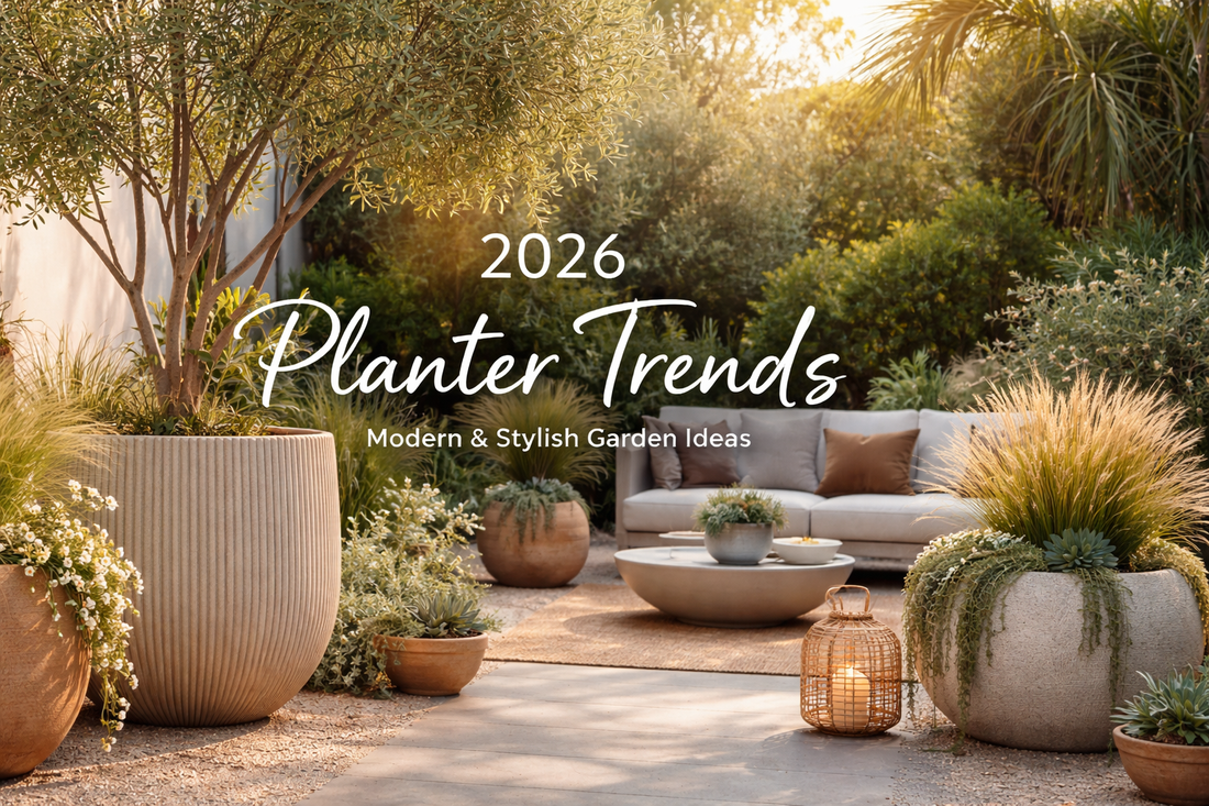 Indoor Planter Trends 2026 — What Is Actually Changing in Home Decor