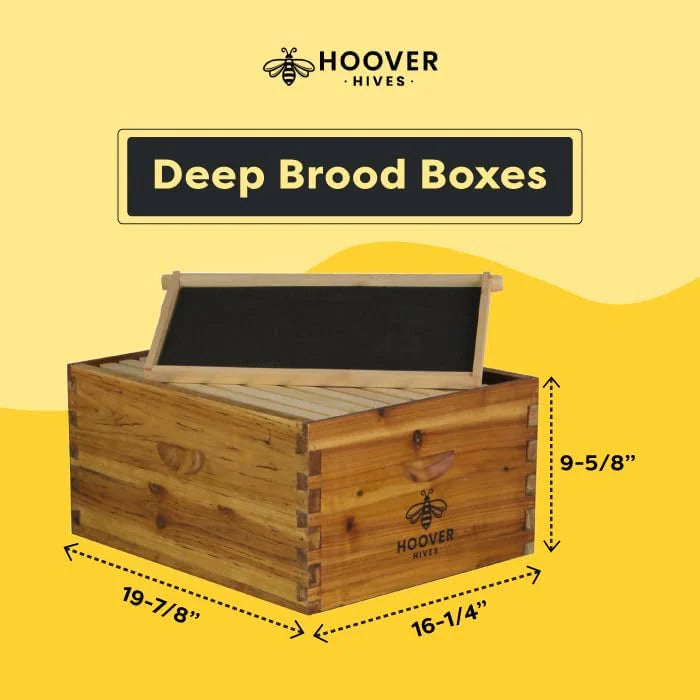 Hoover Hives Original Beeswax Coated Beehive Kit mysite