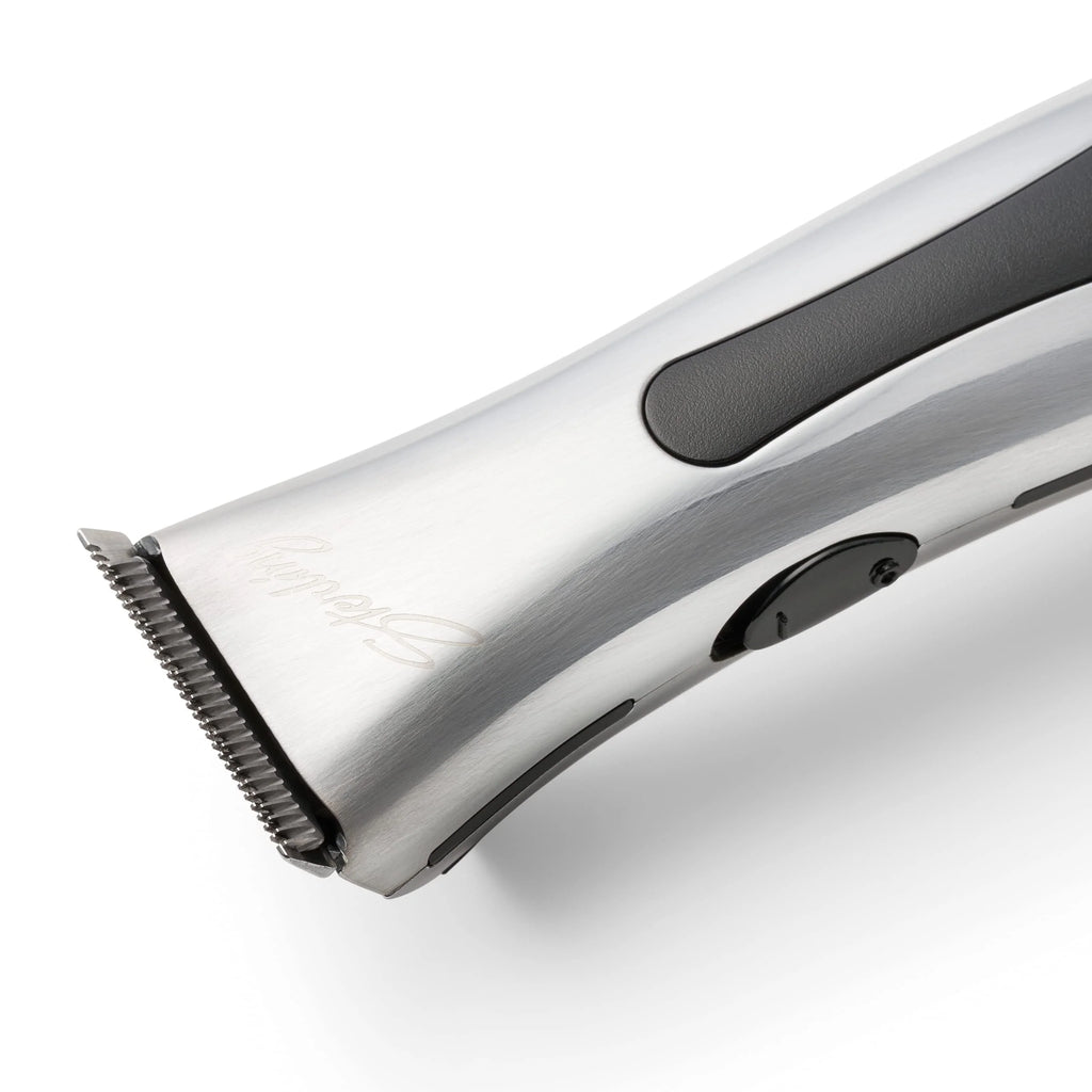 Wahl Professional Sterling Mag Trimmer within Rotary Motor pinegardens
