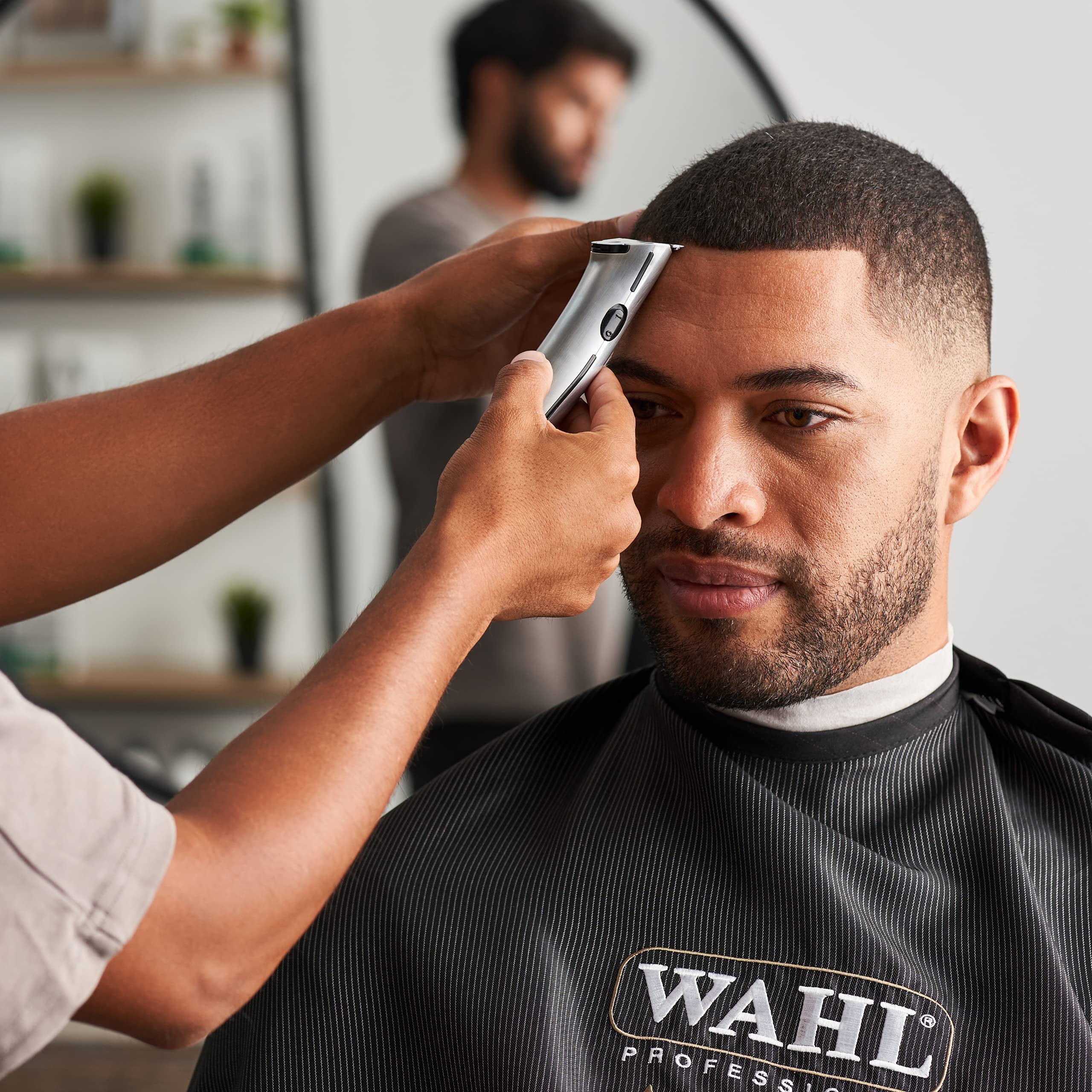 Wahl Professional Sterling Mag Trimmer within Rotary Motor pinegardens