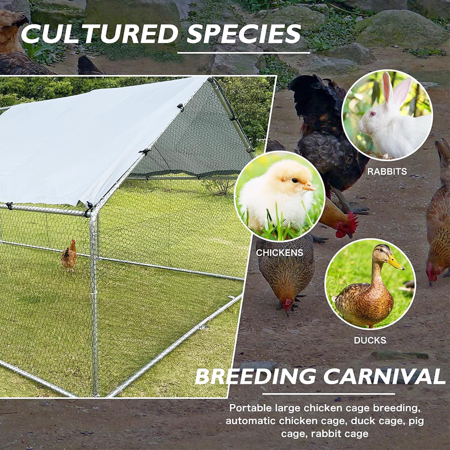 Large Metal Chicken Coop Walk-in Poultry Cage pinegardens