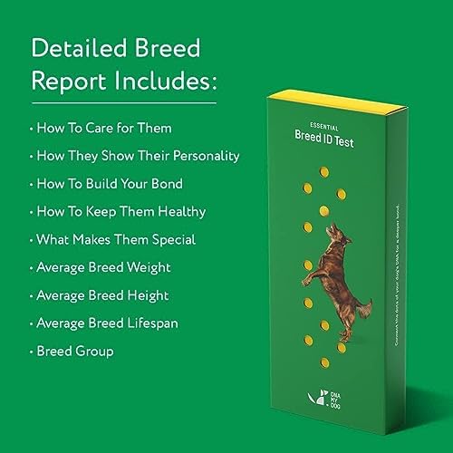 Dna My Dog Essential Test pinegardens