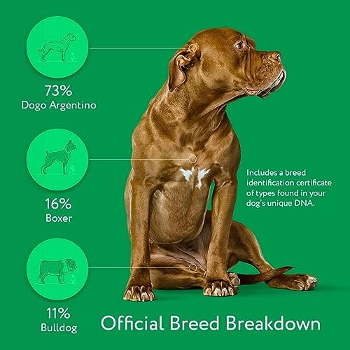 Dna My Dog Essential Test pinegardens