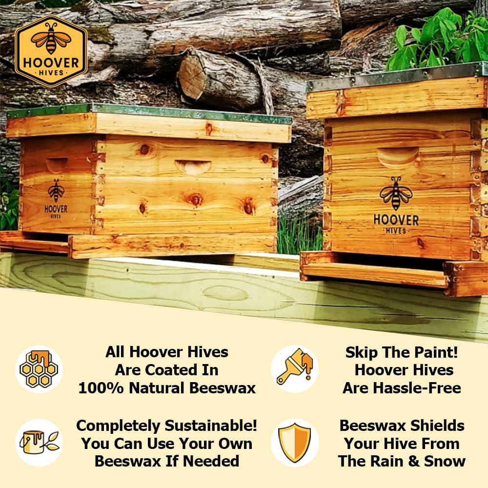 Hoover Hives Original Beeswax Coated Beehive Kit mysite