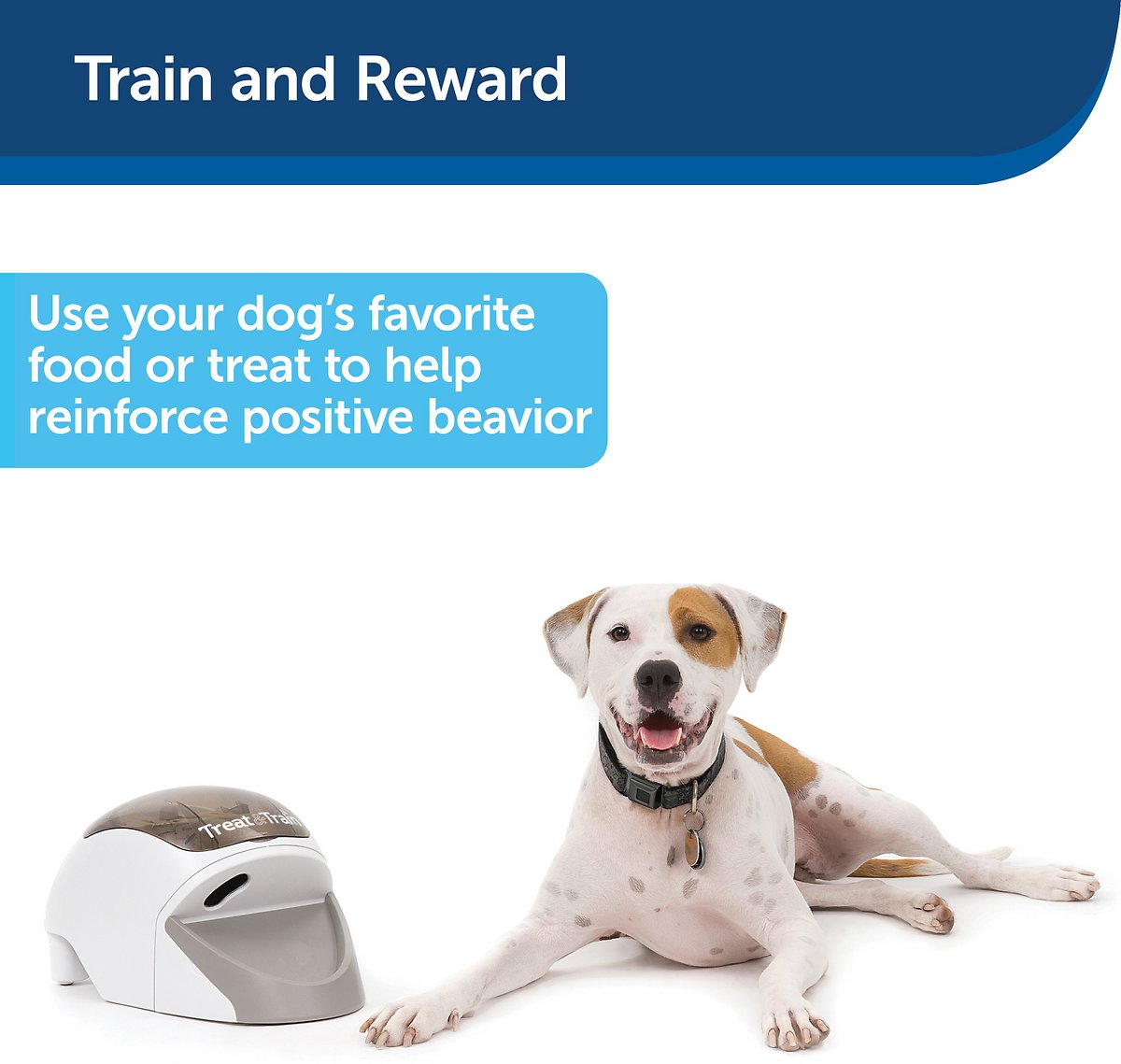 PetSafe Treat & Train ?Remote Treat Dispensing Dog Training System, Positive Reinforcement, Calm Behavior, Distraction Avoidance, Includes Training DVD, Target Wand & Remote, For Dogs 6 Months & Up mysite
