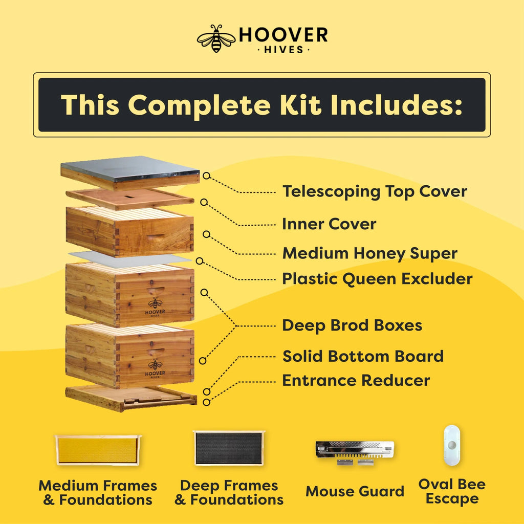 Hoover Hives Original Beeswax Coated Beehive Kit mysite