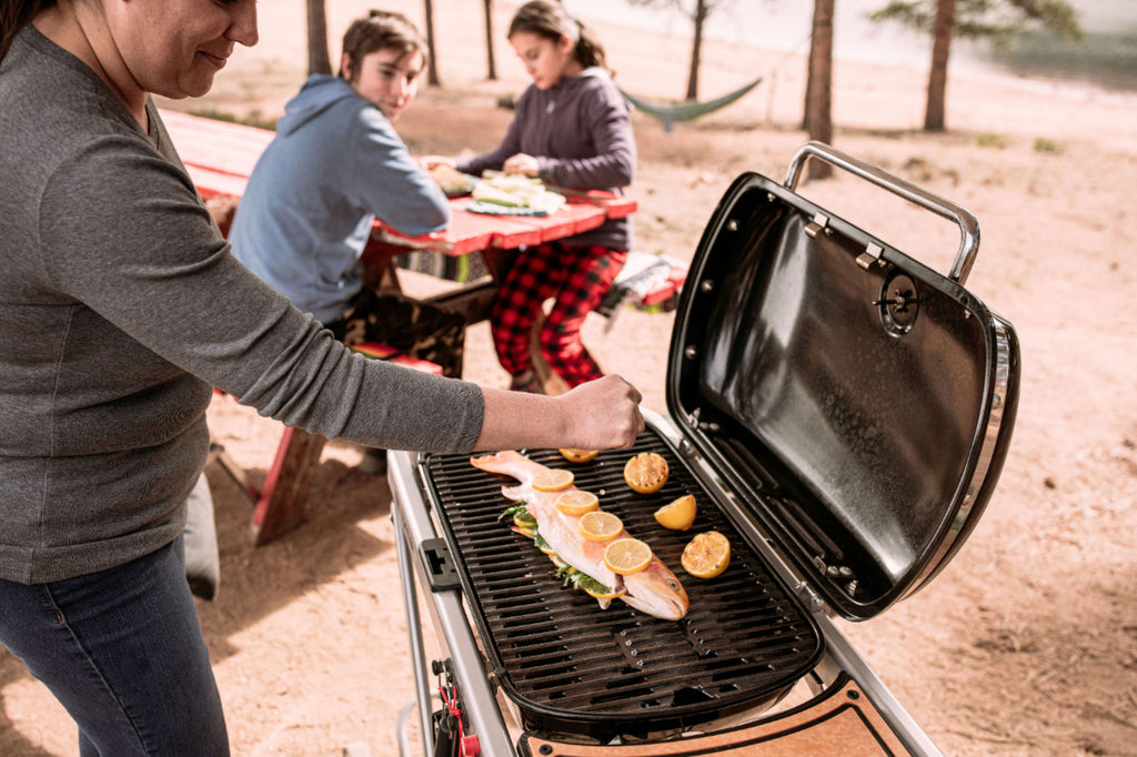 2025 Weber – Traveler Portable Gas Grill – Black mysite