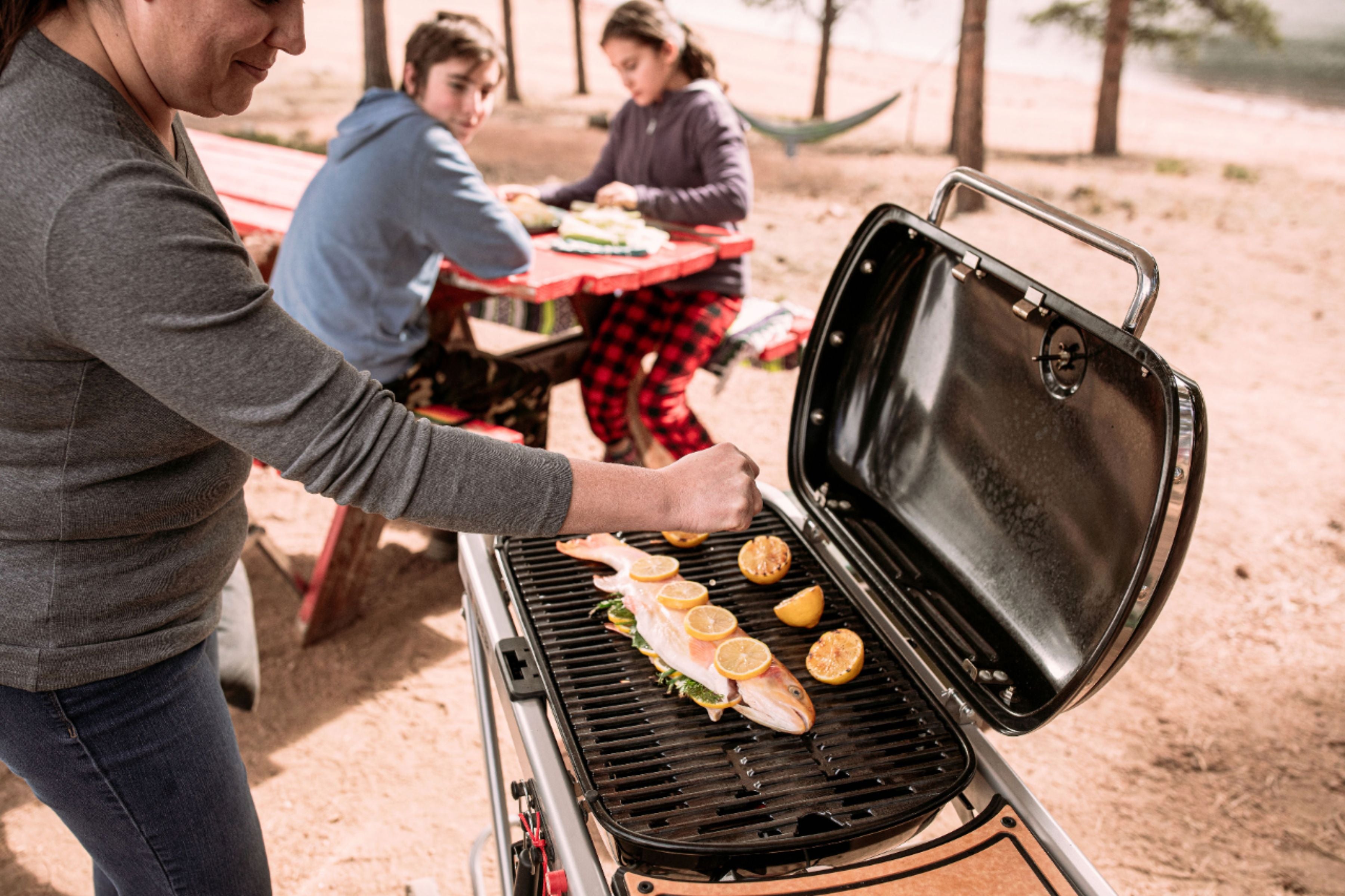 2025 Weber – Traveler Portable Gas Grill – Black mysite