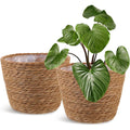 Seagrass Woven Plant Basket Set of 2 with Plastic Liner Fits 7 to 8 Inch Nursery Pots Indoor