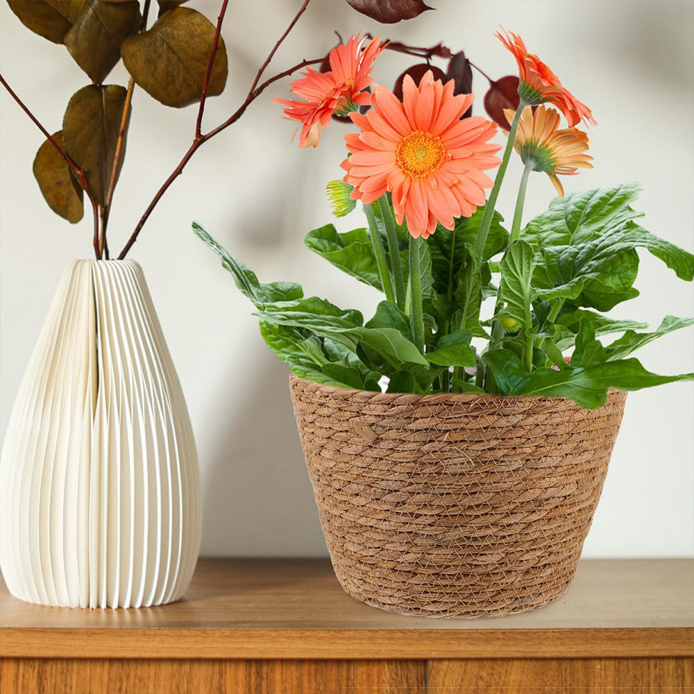 Seagrass Woven Plant Basket Set of 2 with Plastic Liner Fits 7 to 8 Inch Nursery Pots Indoor