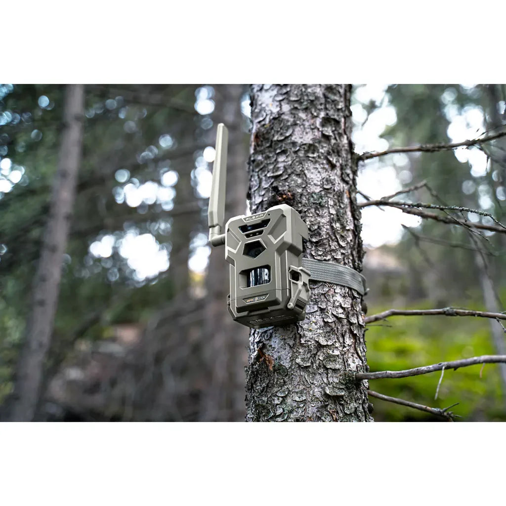 SpyPoint Flex-M Trail Camera Twin Pack, 28MP, 0.4s Trigger, Infrared Flash, SD Cards Included pinegardens