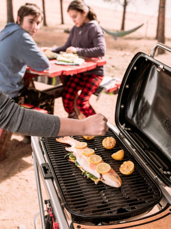 2025 Weber – Traveler Portable Gas Grill – Black mysite